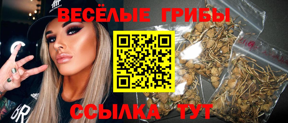как найти закладки  Галлюциногенные грибы Magic Shrooms  Вход с VPN  Нарткала 